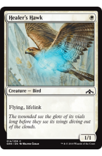 # 14 Healer's Hawk