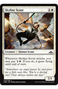 # 25 Skyline Scout