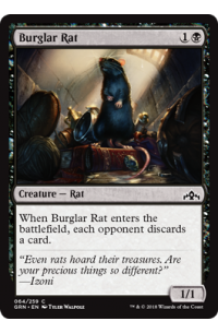 # 64 Burglar Rat