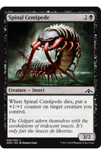 # 86 Spinal Centipede