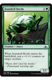 # 134 Ironshell Beetle