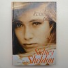 Bok - En kvinnas plan av Sidney sheldon